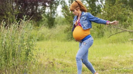 Coccinella Septempunctata