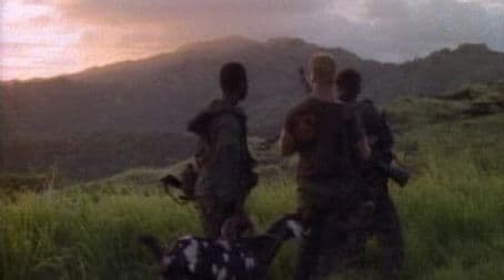 Brothers, Fathers and Sons