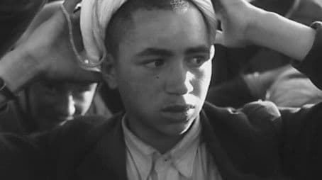 Terror and Guerrilla Warfare