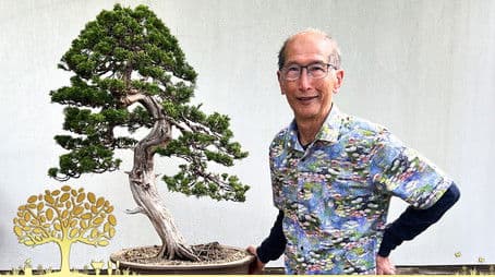 Compilations 2025: Episode 1