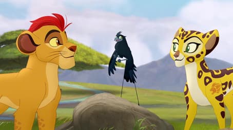 The Call of the Drongo