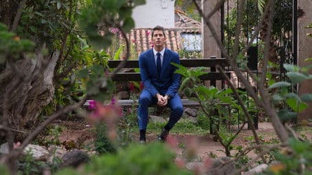 After The Final Rose