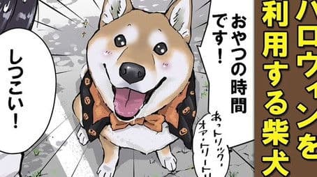 Spot the Mistakes / The Art of Negotiation / Halloween