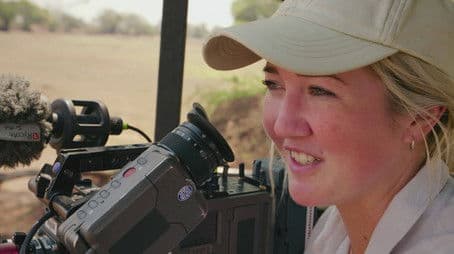 The Punks Strike Back