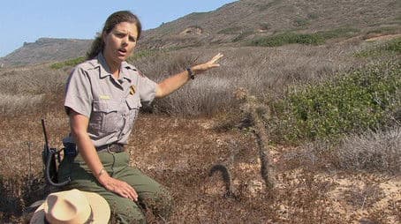 The Great Biodiversity of the Pacific Northwest