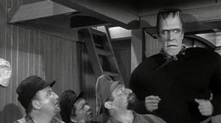 Herman, the Master Spy