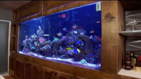 For Love of the Game...Or Money?