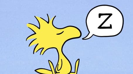 Snoopy and Woodstock