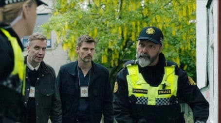 Shadows in the Night