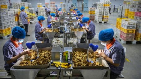 China - Behind the wall