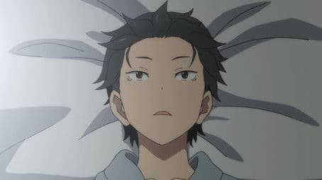 The Happy Roswaal Mansion Family