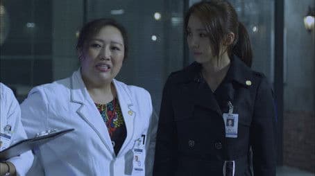 The lost city of idols