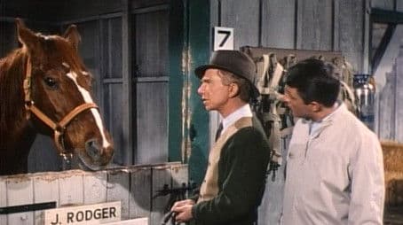 Horse and Buggy Martin