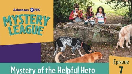 Mystery of the Helpful Hero