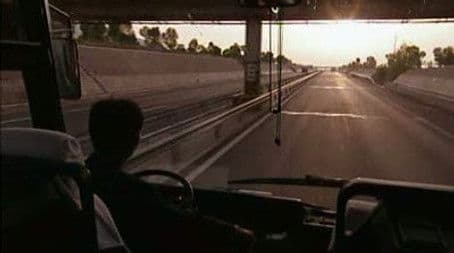 Can Horses Smell Fear?