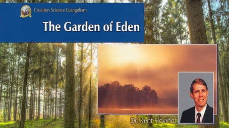 The Garden Of Eden