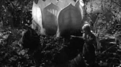 Attack of the Monster Plants