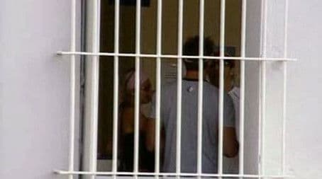 Are There Instructions on Donkey Handling?