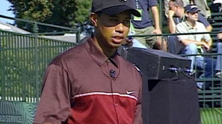 Tiger's Prey - Tiger's Clinic