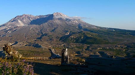 Mt. St. Helens Back From the Dead