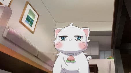 I have to find a place to live!