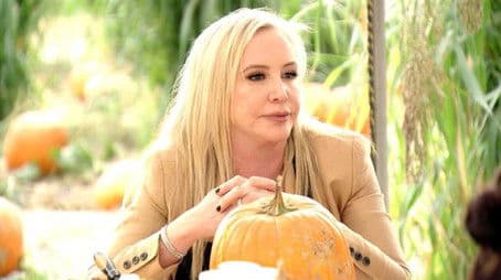 Pumpkins & Paparazzi