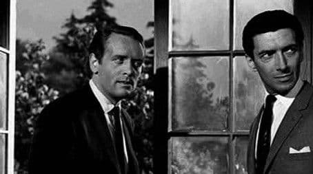 Are You Going to be More Permanent?