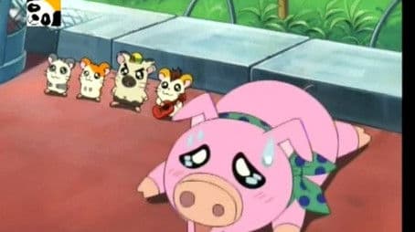 The Sunflower Ferris Wheel