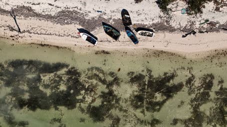 Thursday, January 19, 2023