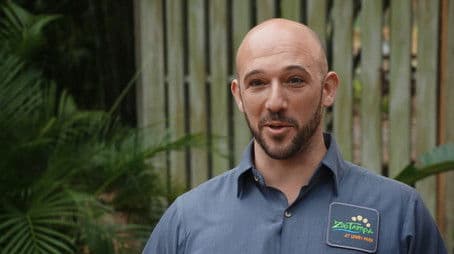 Iguana Be Your Friend