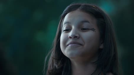 The Firefly and the Stars