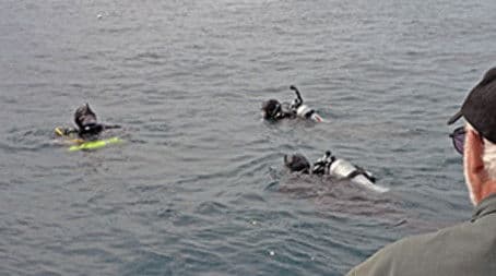 The Pritchard Connection