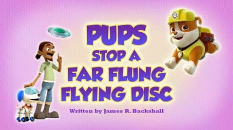 Pups Stop a Far Flung Flying Disc