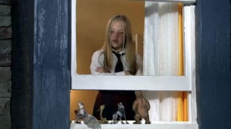 A Guide for the Perplexed