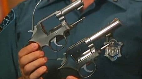 Police Guns