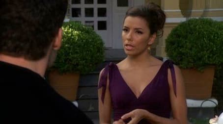 No Fits, No Fights, No Feuds