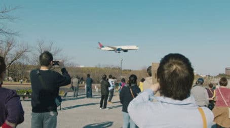 A Park Where Dreams Take Wing