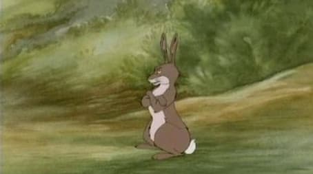 The Missing Fox's Friend