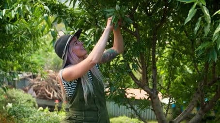 Episode 29 Spring: Grow a Salad Patch & Vertical Garden