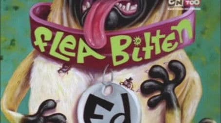 Flea-Bitten Ed