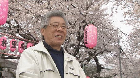 Tokyo in Springtime - The Taste of Tradition