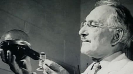 Antibiotics: The Wonder Drugs