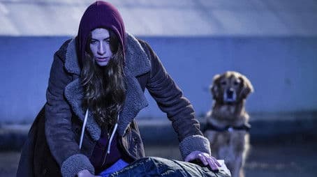 It's Always Been You