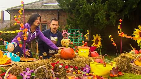 Pumpkins and Lanterns