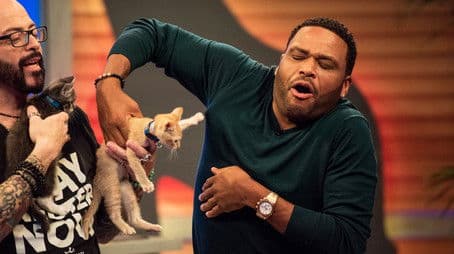 Keesha Sharp; Fred Willard; Jackson Galaxy