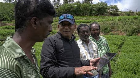 Empowering Farmers through Satellites and AI: India & Kenya