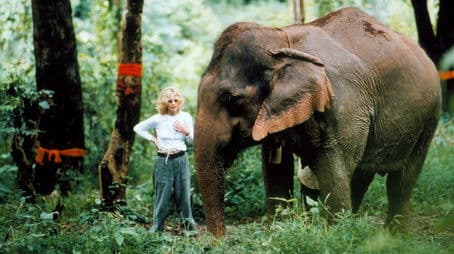 The White Elephants of Thailand with Meg Ryan
