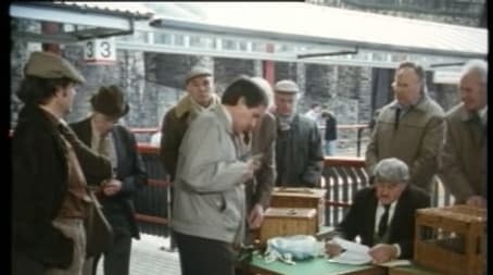 A Bird in the Hand is Worth Two in Shepherd's Bush