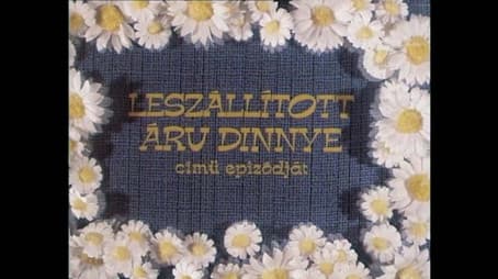 Leszállított áru: dinnye