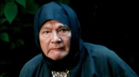 Ninpou: Hanachouchin!